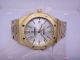 Audemars Piguet Royal Oak Yellow Gold  Silver Face Replica Watch (4)_th.jpg